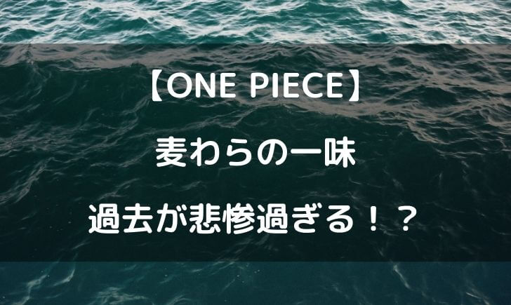 麦わらの一味の過去が悲惨すぎ まとめてみたら重すぎたｗ テレビっ子は今日もゆく