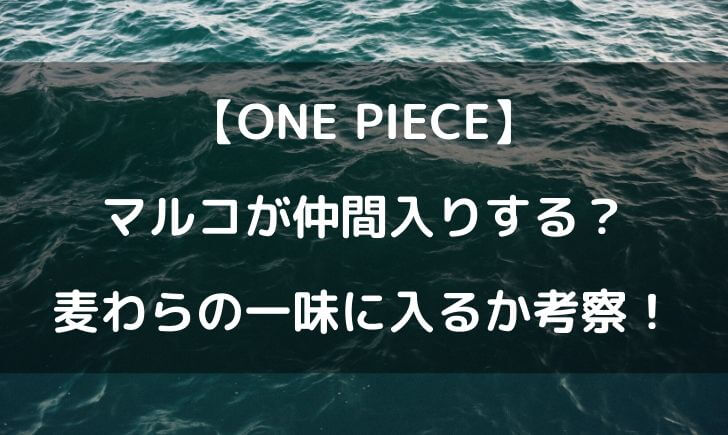 ワンピースのマルコが仲間入り 麦わらの一味に入る可能性を考察 テレビっ子は今日もゆく