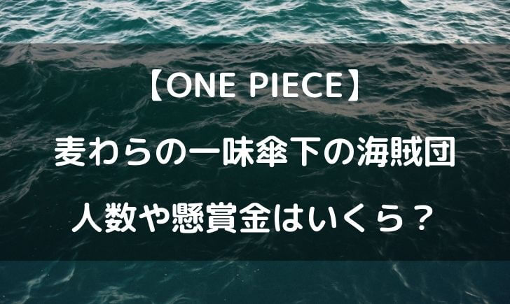 麦わらの一味傘下の海賊団の懸賞金は 麦わら大船団の人数がヤバいｗ テレビっ子は今日もゆく