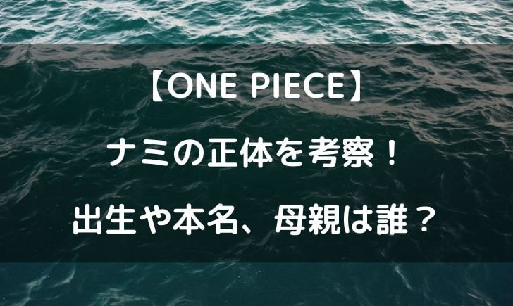 ワンピースナミの正体は 本名や出生を考察してみた テレビっ子は今日もゆく