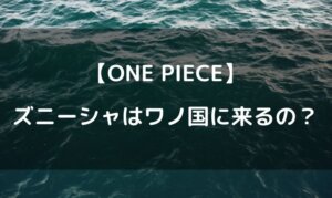 ズニーシャ ワノ国