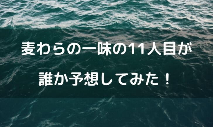 麦わらの一味の11人目は誰 仲間入りするメンバーを予想 テレビっ子は今日もゆく