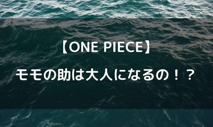 ワンピースモモの助が大人になる説 ジュクジュクの実で大きくなる テレビっ子は今日もゆく