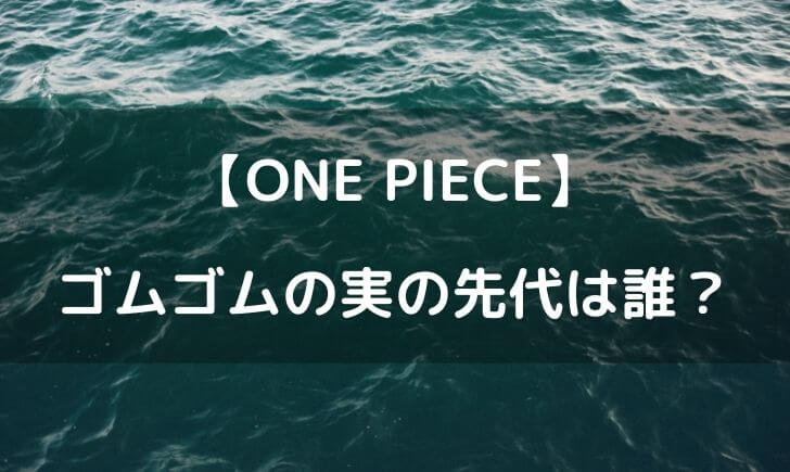 ワンピース ゴムゴムの実 先代