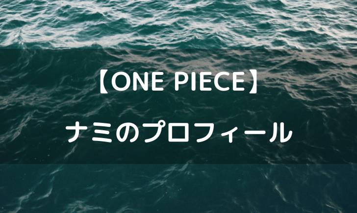 ワンピースナミの年齢は？