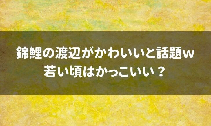 錦鯉の渡辺がかわいいと話題ｗ