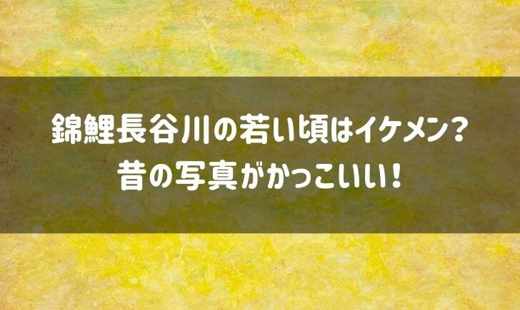 錦鯉長谷川は昔若い頃はイケメン？