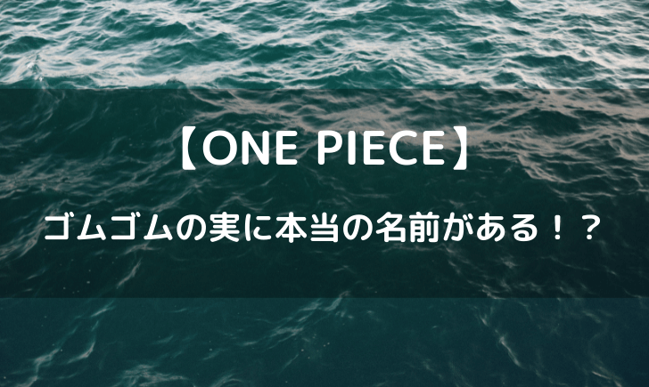 ゴムゴムの実に本当の名前がある！？